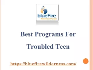 Best Programs For Troubled Teen - www.bluefirewilderness.com
