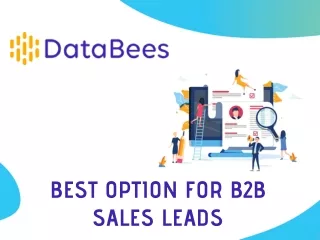 Best Option For B2B Sales Leads - DataBees