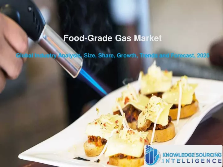 food grade gas market global industry analysis
