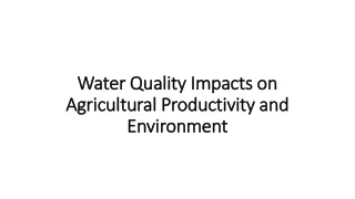 water quality impacts on agricultural productivity and environment