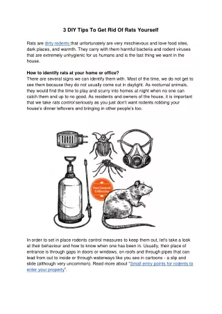 3 diy tips to get rid of rats yourself