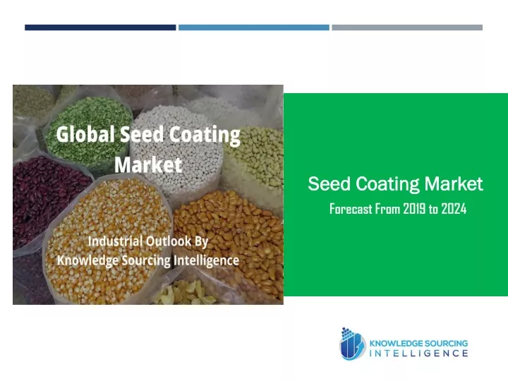 seed coating market forecast from 2019 to 2024