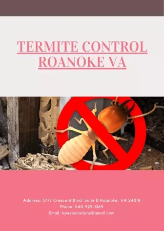 termite control roanoke va