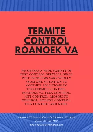 termite control roanoek va