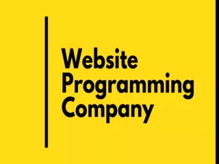 Website Programming Company