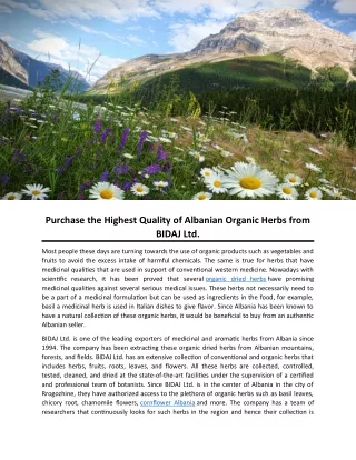 Purchase the Highest Quality of Albanian Organic Herbs from BIDAJ Ltd.