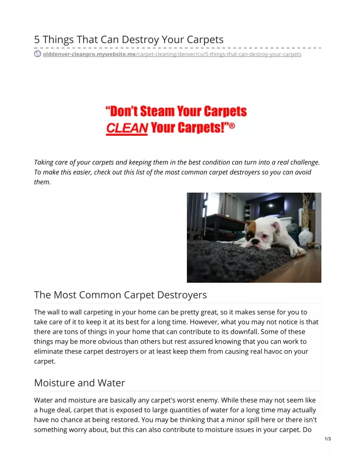 5 things that can destroy your carpets