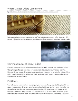 where Carpet Odors Come From