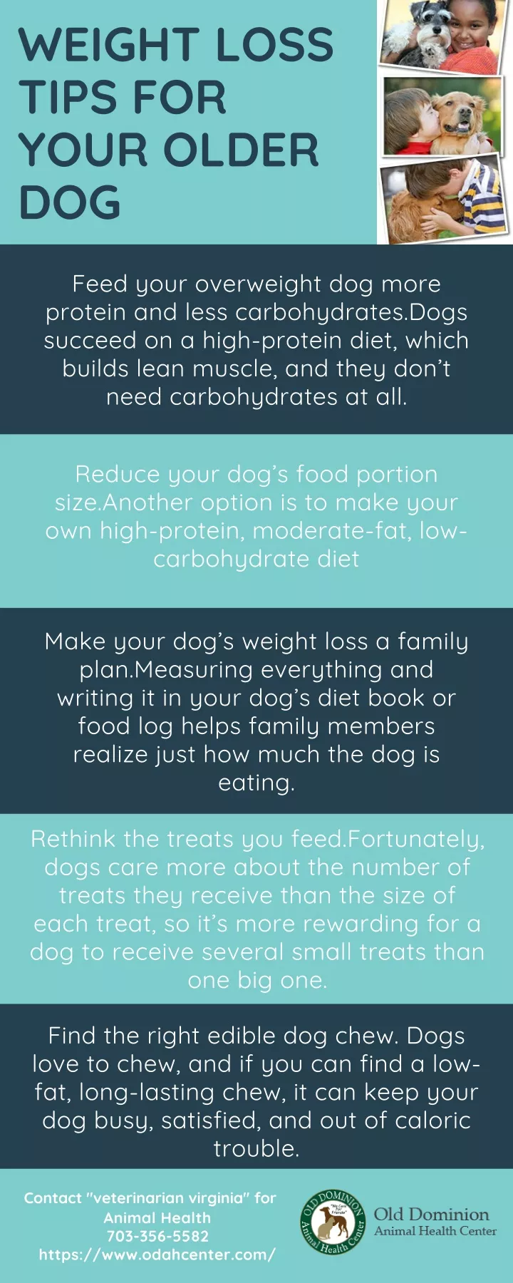 weight loss tips for your older dog