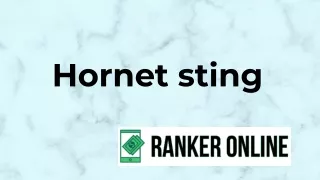 hornet sting