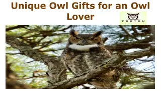 Unique Owl Gifts for an Owl Lover