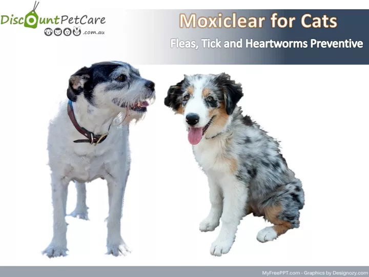 moxiclear for cats