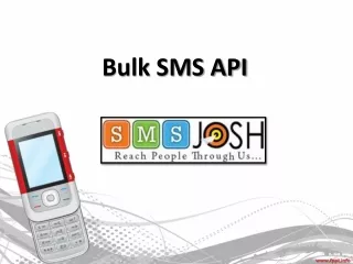 bulk sms api