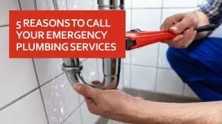 5 Reasons To Call Your Emergency Plumbing Services