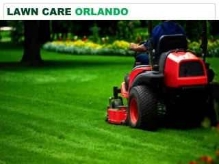 Lawn Care Orlando