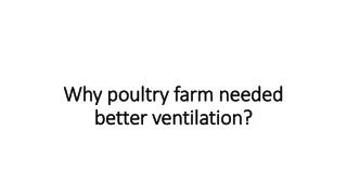 why poultry farm needed better ventilation