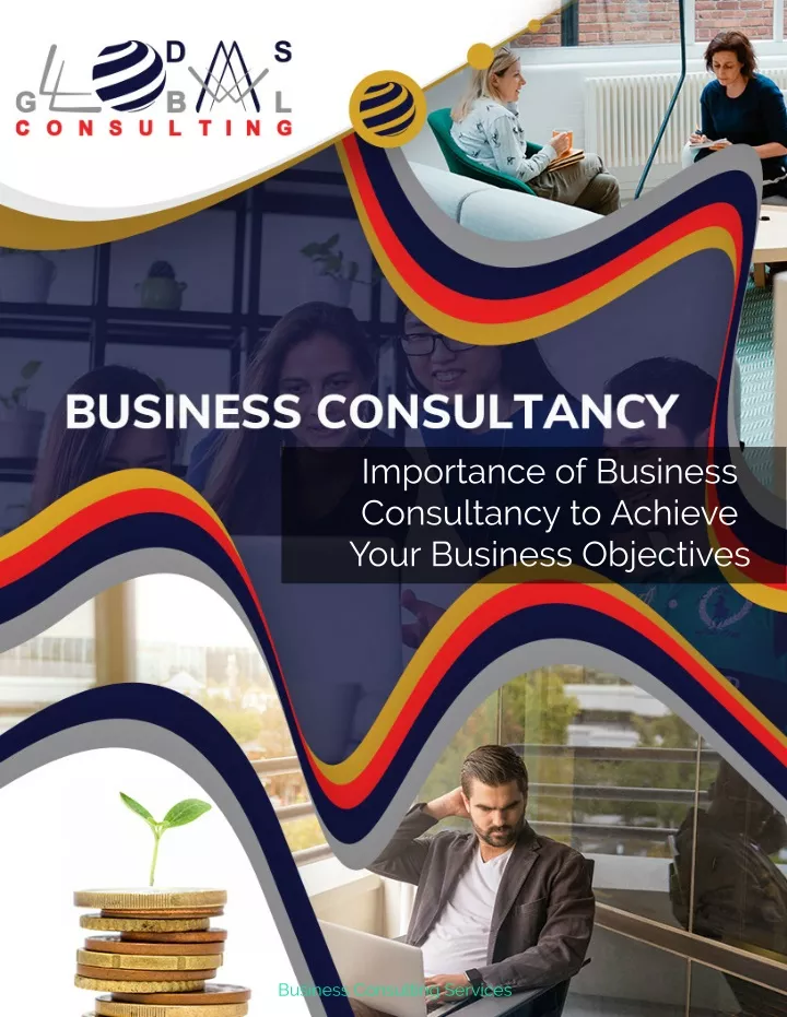 importance of business consultancy to achieve