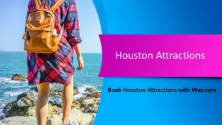 Houston Attractions