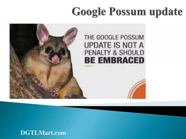 google possum update