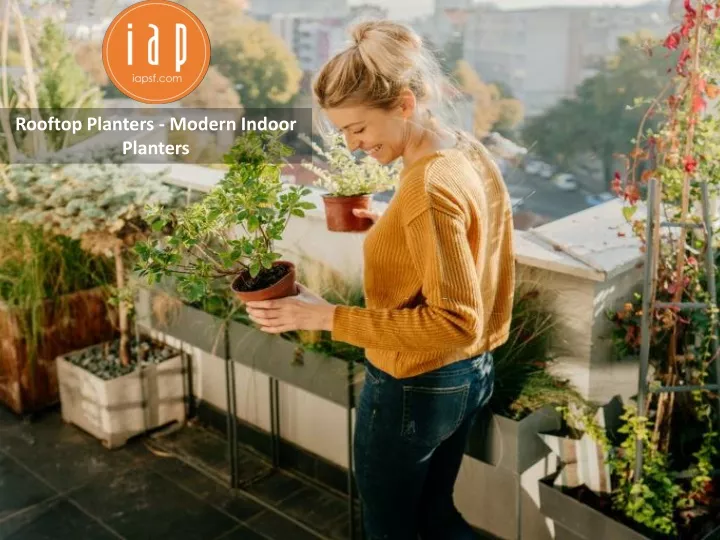 rooftop planters modern indoor planters