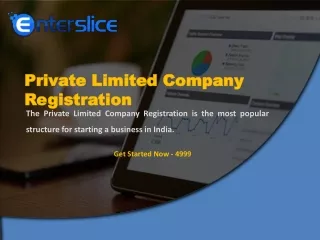 Overview in Private Limited Company Registration