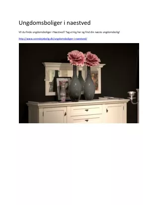 ungdomsboliger i naestved