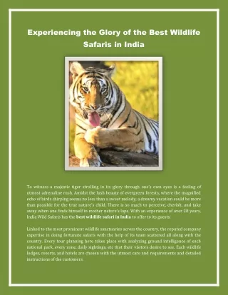 Tiger Tour In India With The Leading Tour Operator