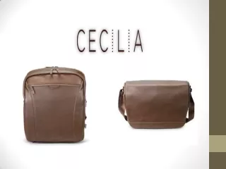 Why to Buy best Camera Bags - Cecilia