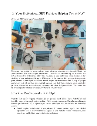 is your professional seo provider helping