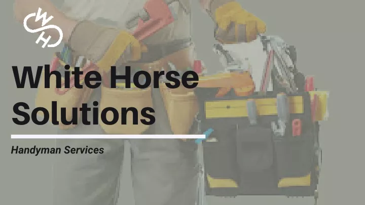 white horse solutions