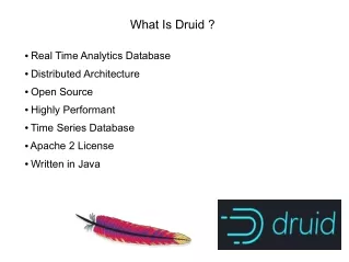 what is druid
