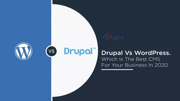 drupal vs wordpress which is the best