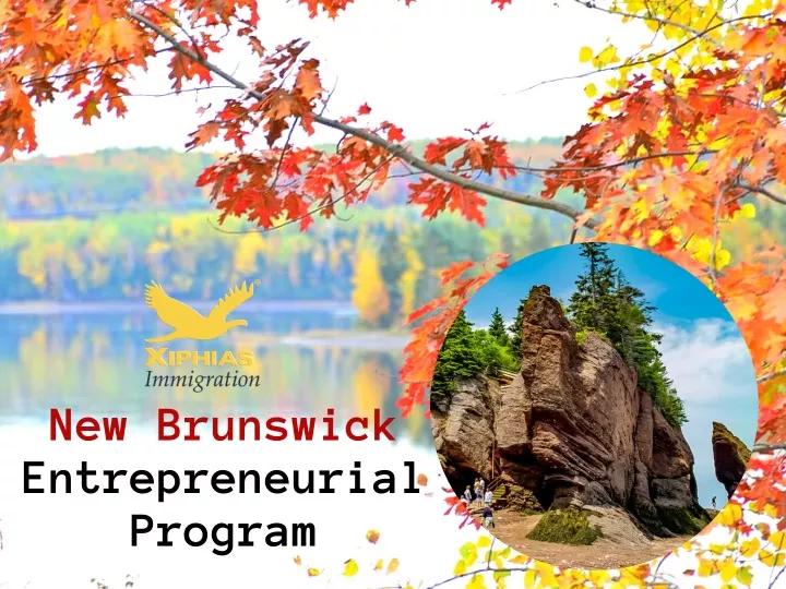 new brunswick entrepreneurial program