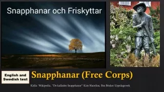 english and swedish text