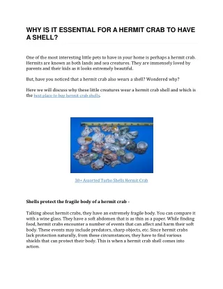 why is it essential for a hermit crab to have