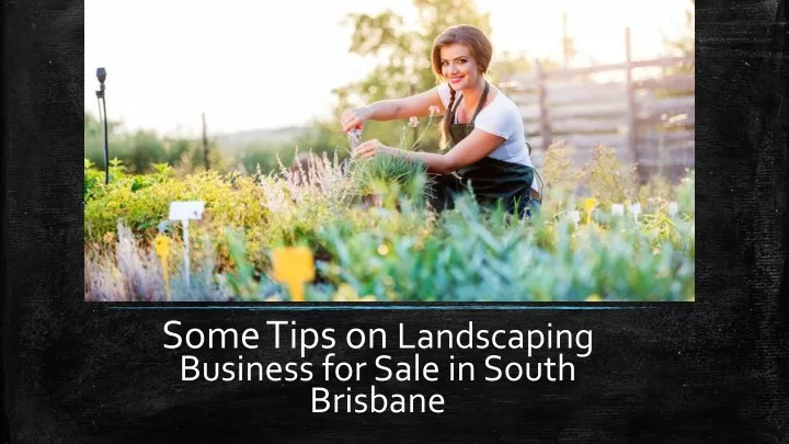 some tips on landscaping business for sale in south brisbane