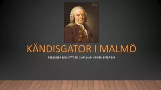 k ndisgator i malm personer som f tt en gata