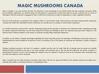 magic mushrooms canada