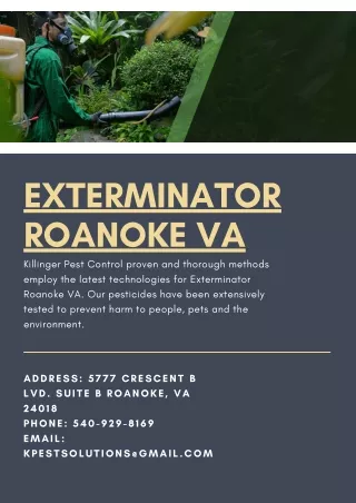 Exterminator Roanoke VA | Killinger Pest Solutions