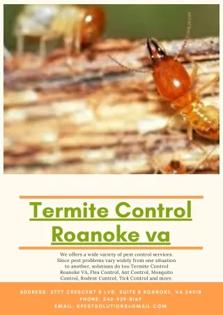 termite control roanoke va