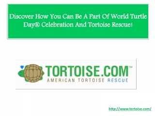 Discover How You Can Be A Part Of World Turtle Day Celebration And Tortoise Rescue!