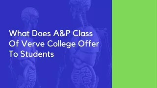 what does a p class of verve college offer