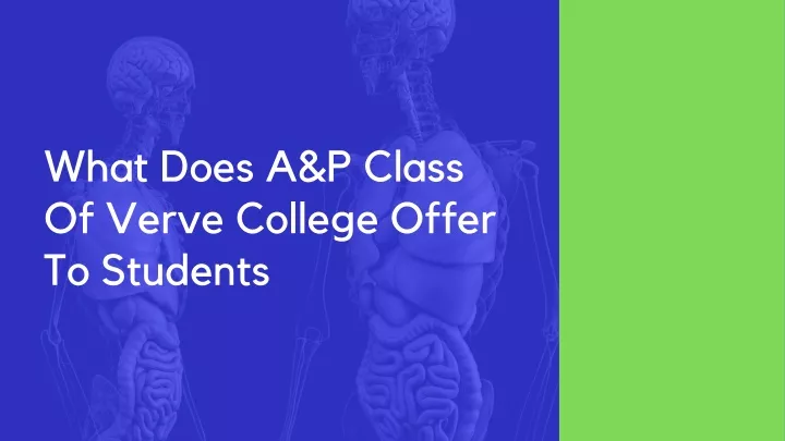 what does a p class of verve college offer
