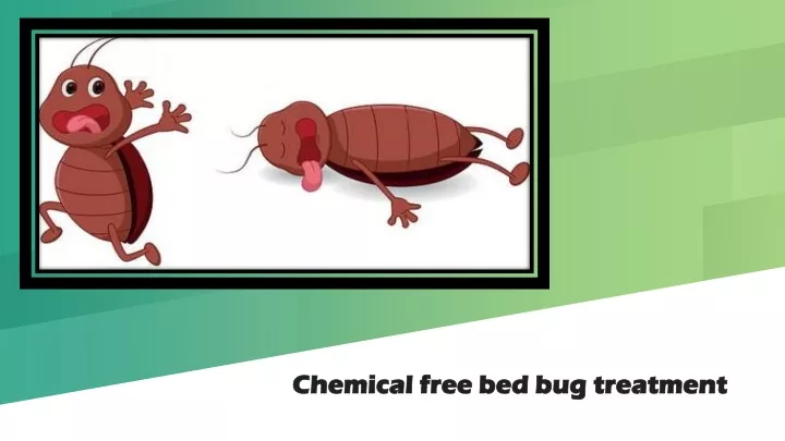 chemical free bed bug treatment
