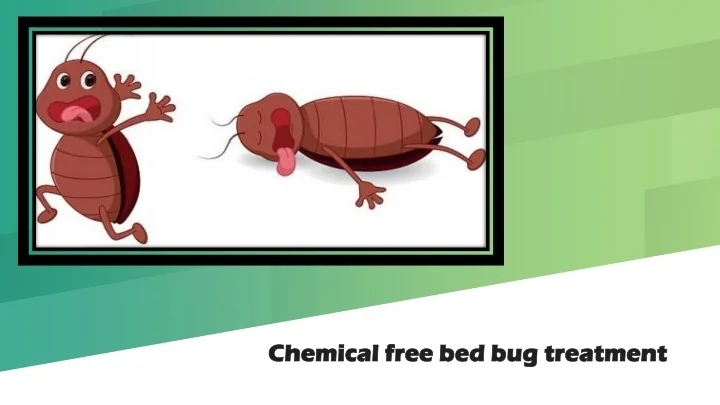 View of PPT - Chemical free bed bug treatment PowerPoint Presentation, free ...