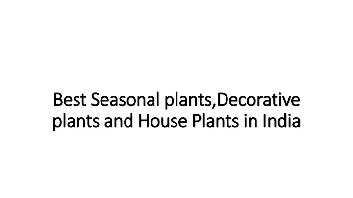 best seasonal plants decorative plants and house plants in india