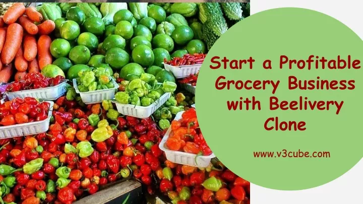 start a profitable grocery business with