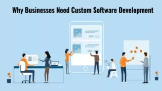 Why Businesses Need Custom Software Development?