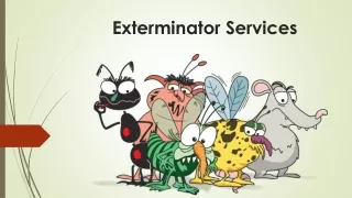 Why Should You Hire an Exterminator Services?