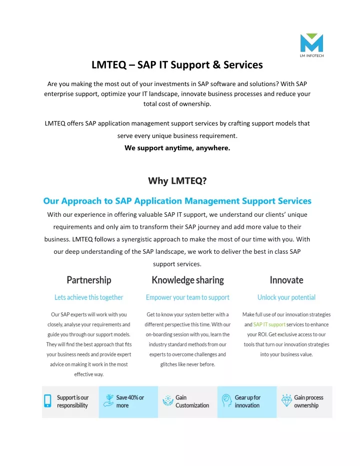 lmteq sap it support services